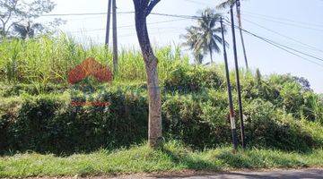 Gambar 4 Tanah Jual Pinggir Jalan Cocok Untuk Berkebun Di Wonosari