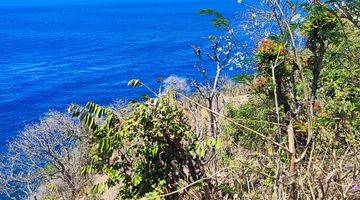 Gambar 4 Tanah Tebing Los Pantai Bunutan Karangasem 