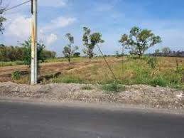 Gambar 1 Dijual Tanah di Desa Ketapan Rame, Trawas, Mojokerto, Luas 480 m²