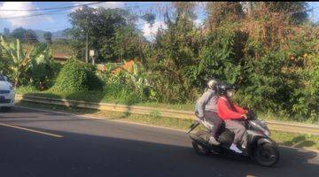 Gambar 4 Tanah Lokasi Strategis Area Pariwisata Bedugul