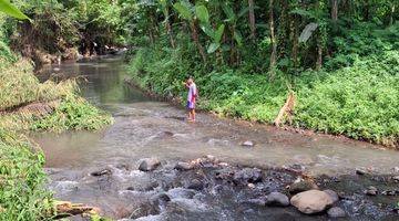 Gambar 2 Kebun Durian Plus Kolam Pemancingan Di Tajinan Malang