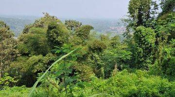 Gambar 4 Jual Kebun Sengon Murah Dekat Kota Malang 