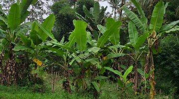 Gambar 4 Kebun Plus Kolam Pemancingan Dekat Wisata Sumber Jenon Malang 