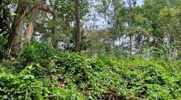 Gambar 4 Tanah Kebun Durian Dekat Wisata Jenon Malang