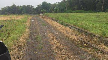 Gambar 3 Lahan Kuning Luas Dan Murah Potensial Untuk Bisnis Lokasi di Batu