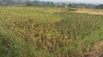 Gambar 2 Lahan Kuning Luas Dan Murah Potensial Untuk Bisnis Lokasi di Batu