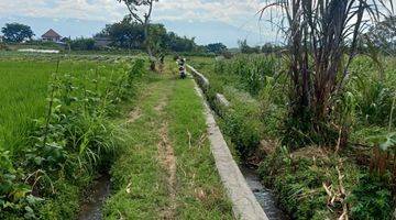 Gambar 1 Tanah Subur Luas Dan Murah Cocok Untuk Perkebunan Jeruk di Batu