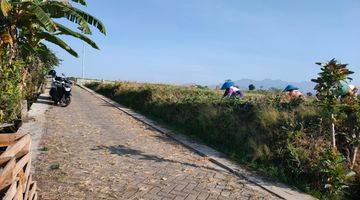 Gambar 1 Tanah Sawah Luas Subur View Bagus Menawan di Kota Batu 