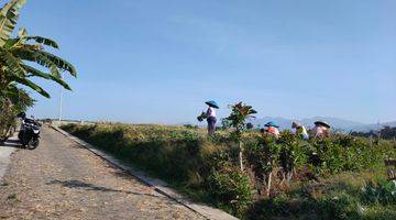 Gambar 3 Tanah Sawah Luas Subur View Bagus Menawan di Kota Batu 