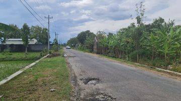 Gambar 1 Tanah kering siap bangun sudah urug padat