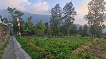 Gambar 2 Tanah dengan pemandangan gunung lawu di pinggir jalan raya blumbang tawangmangu,