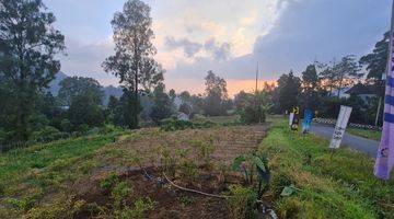 Gambar 4 Tanah dengan pemandangan gunung lawu di pinggir jalan raya blumbang tawangmangu,