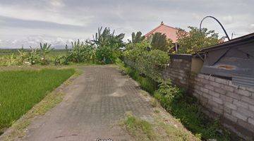 Gambar 4 Premium Land Less Than 300meter To Cemagi Beach, Ln 233