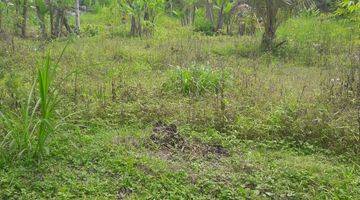 Gambar 5 Land Freehold 5000 Sqm in great location Payangan Ubud