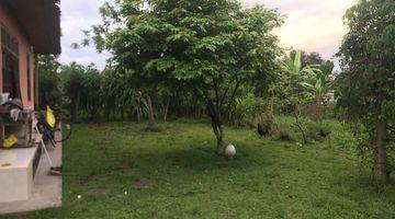 Gambar 3 RARE! 2,450 Sqm Freehold Land  With Views Of Rice Field on Sayan Main Road, Ubud