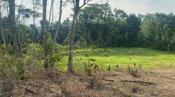 Gambar 4 TANAH DI KLAPANUNGGAL KABUPATEN BOGOR             