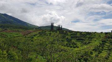 Gambar 2 TANAH KEBUN ,KARANGPLOSO BATU MALANG 