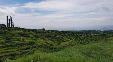 Gambar 3 TANAH KEBUN ,KARANGPLOSO BATU MALANG 