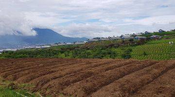 Gambar 5 TANAH KEBUN ,KARANGPLOSO BATU MALANG 