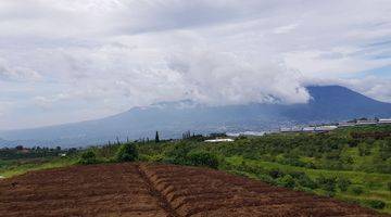 Gambar 4 TANAH KEBUN ,KARANGPLOSO BATU MALANG 