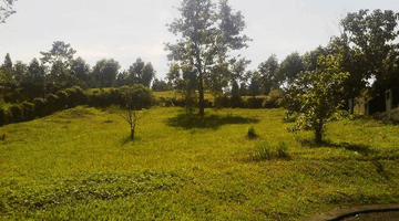 Gambar 3 Dijual Kavling Sertifikat View Lapangan Golf Sentul City Bogor