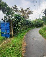 Gambar 2 Kebun Durian di Bogor