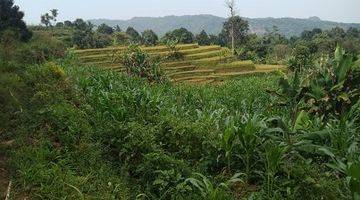 Gambar 4 Dijual Tanah Kebun View Cantik