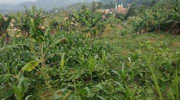 Gambar 2 Dijual Tanah Kebun View Cantik