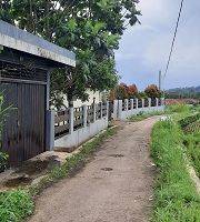 Gambar 3 Dijual Rumah Kebun di Bogor View Gunung Salak