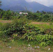 Gambar 1 Tanah Kebun Murah di Bogor