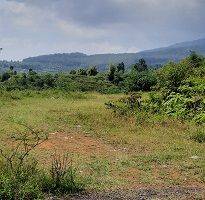 Gambar 2 Tanah Kebun Murah di Bogor