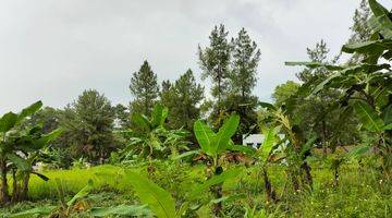 Gambar 4 Tanah Kavling Sertipikat Di Cluster Eklusif Sentul City Bogor 