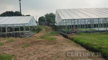 Gambar 2 Tanah Lokasi Bagus Untuk Perumahan Di Bogor Jawa Barat