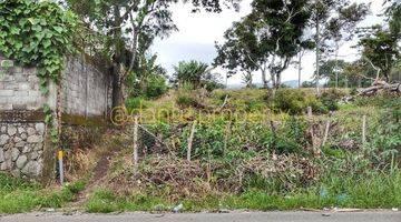 Gambar 2 Tanah Siap Garap Bireun Takengon, Blang Ara