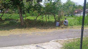 Gambar 3 Tanah Pekarangan Kering Area Bandara Solo