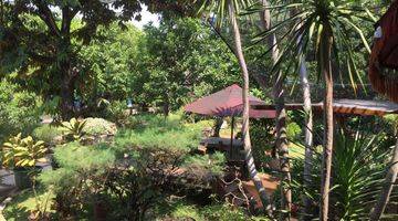 Gambar 3 Dijual Tanah Kebun