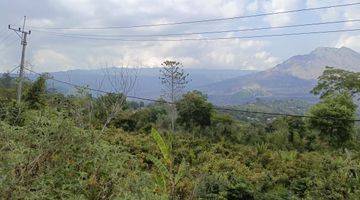 Gambar 3 Tanah Kintamani Bali View Gunung SHM Kontur Datar Terasiring 