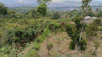 Gambar 5 Tanah Kintamani Bali View Gunung SHM Kontur Datar Terasiring 