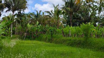 Gambar 2 Tanah di Payangan Gianyar Bali SHM View Lembah Jungle