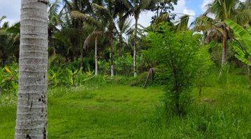 Gambar 3 Tanah di Payangan Gianyar Bali SHM View Lembah Jungle