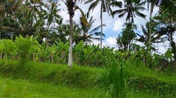 Gambar 4 Tanah di Payangan Gianyar Bali SHM View Lembah Jungle