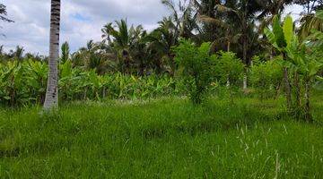 Gambar 5 Tanah di Payangan Gianyar Bali SHM View Lembah Jungle