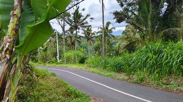 Gambar 3 Tanah di Payangan, Gianyar SHM View Sawah Lembah Dan Gunung 