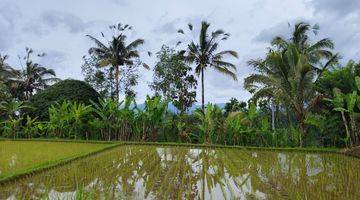 Gambar 1 Tanah di Payangan, Gianyar SHM View Sawah Lembah Dan Gunung 