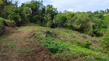 Gambar 5 Tanah Sukawati Gianyar Bali View Jungle Abadi Lembah Dan Sungai 