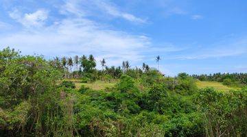 Gambar 3 Tanah Sukawati Gianyar Bali View Jungle Abadi Lembah Dan Sungai 