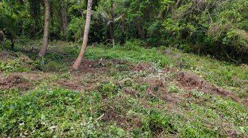 Gambar 2 Tanah Sukawati Gianyar Bali View Jungle Abadi Lembah Dan Sungai 