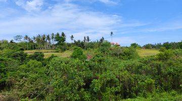 Gambar 4 Tanah Sukawati Gianyar Bali View Jungle Abadi Lembah Dan Sungai 