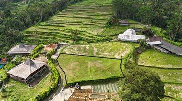 Gambar 1 Tanah Pupuan Tegallalang Area Villa View Sawah