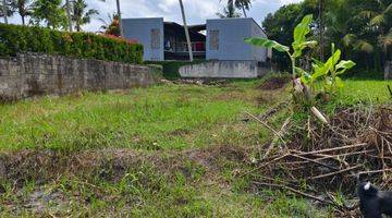 Gambar 1 Tanah Pejeng Gianyar Bali Sebelah Resort View Sawah